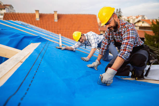 Best Roof Gutter Cleaning  in Bangor, ME